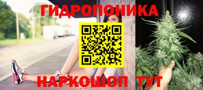 метадон Моздок