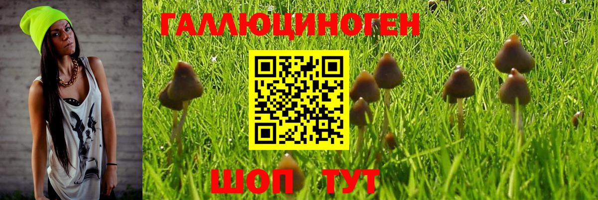 Псилоцибиновые грибы Psilocybe  Вход с VPN  Галлюциногенные грибы Psilocybine cubensis  Углич 