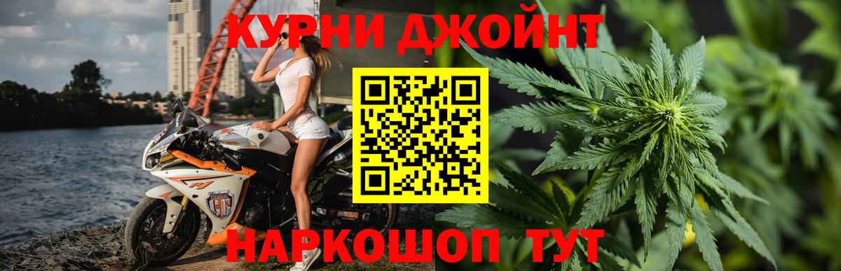 Конопля Bruce Banner  Вход с VPN  Конопля планчик  Канабис конопля  Углич  Конопля семена 